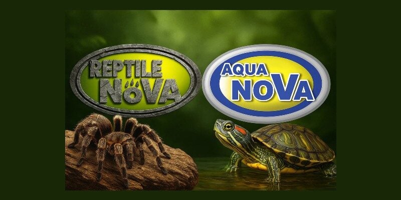 marka Reptyle I Aqua Nova W Lesie