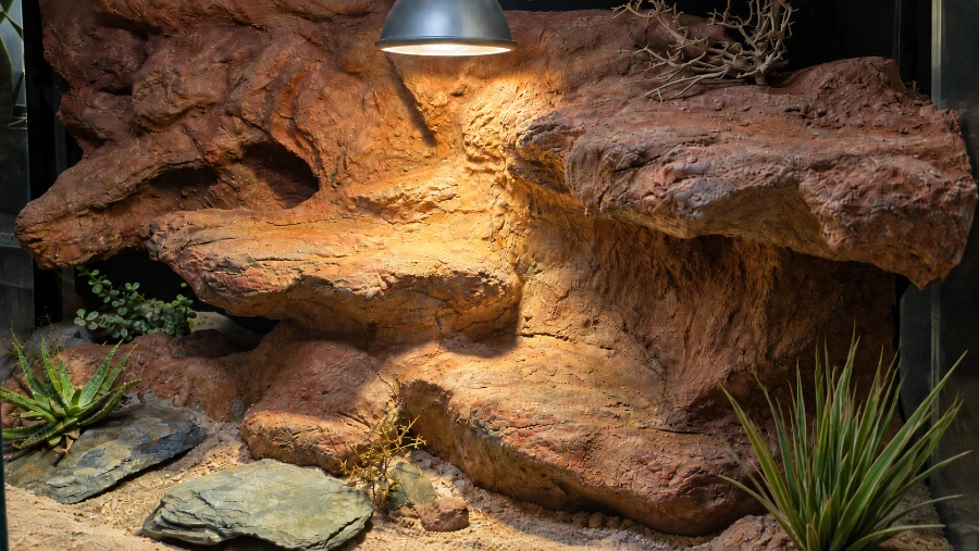 ogrzewanie terrarium i strefa wygrzewania