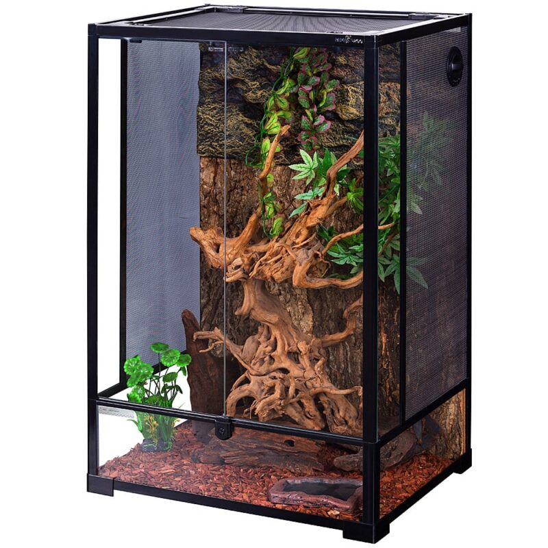 terrarium dla gekona orzęsionego felsumy