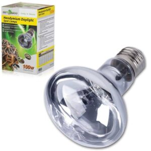 żarówka grzewcza reptizoo daylight 100w