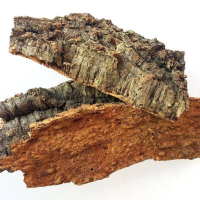 Kora do terrarium z dębu korkowego płat roz. XL