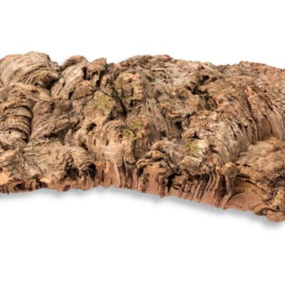 Kora płat kory do terrarium z dębu korkowego L
