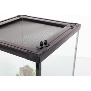 terrarium dla gekona orzęsionego felsumy
