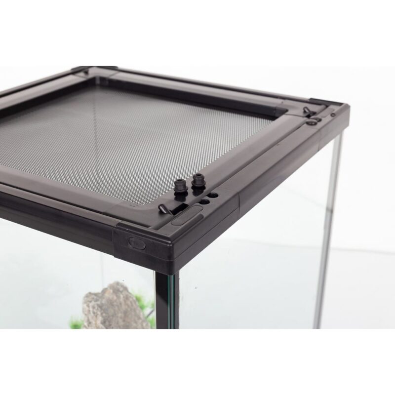 terrarium dla gekona orzęsionego felsumy