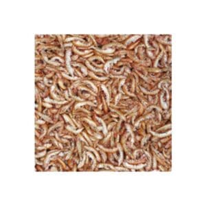 Tropical Gammarus kiełże dla żółwia wodno-lądowego 1000ml