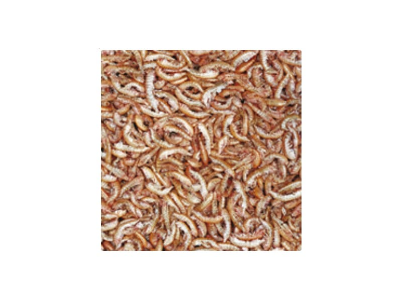Tropical Gammarus kiełże dla żółwia wodno-lądowego 1000ml