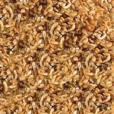 Sera Raffy 1 Nature dla żółwi wodno-lądowych 130g