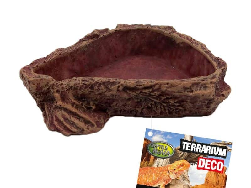 Bardzo mała miseczka do terrarium rozmiar 6x6x1 cm