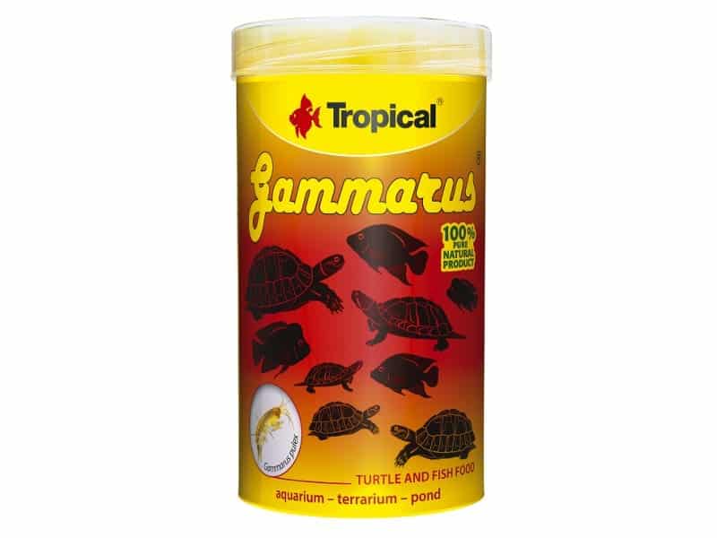 Tropical Gammarus kiełże dla żółwia wodno-lądowego 1000ml