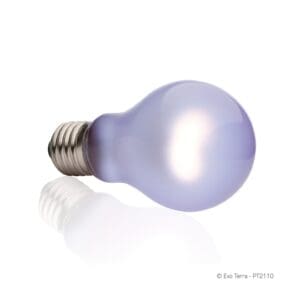 Żarówka Daytime Heat 60W Exoterra