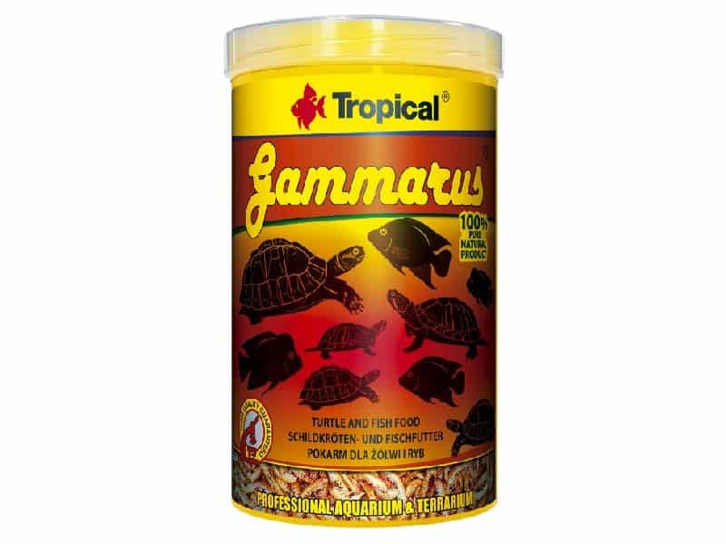 Tropical Gammarus kiełże dla żółwia wodno-lądowego 1000ml