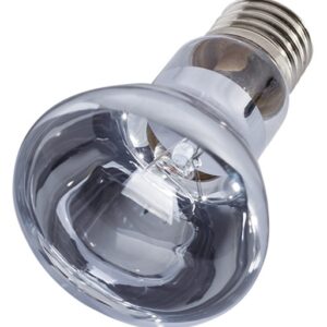 a clear light bulb with a silver base