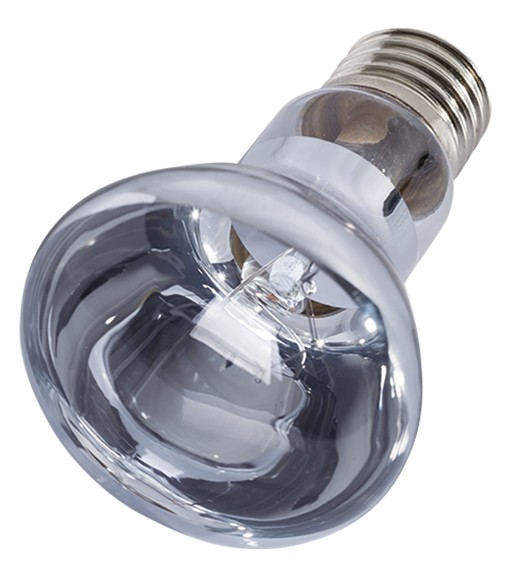 a clear light bulb with a silver base