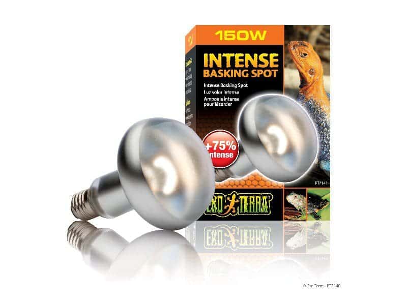 Żarówka Intense Basking Spot 150W 95mm