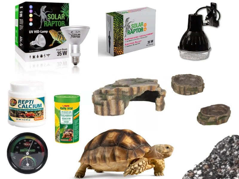 Zestaw dla żółwia lądowego do terrarium 80cm (premium)