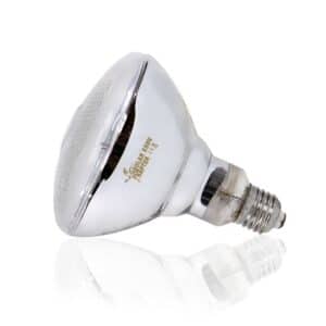 Oprawa Solar Raptor ClampLamp z klipsem + żarówką MVL 80