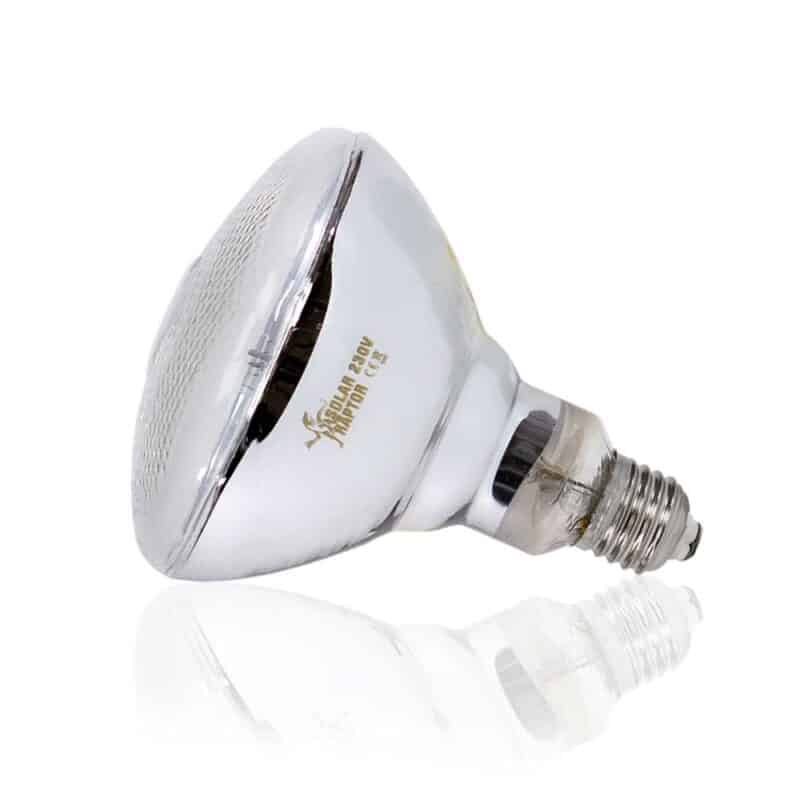 Oprawa Solar Raptor ClampLamp z klipsem + żarówką MVL 80