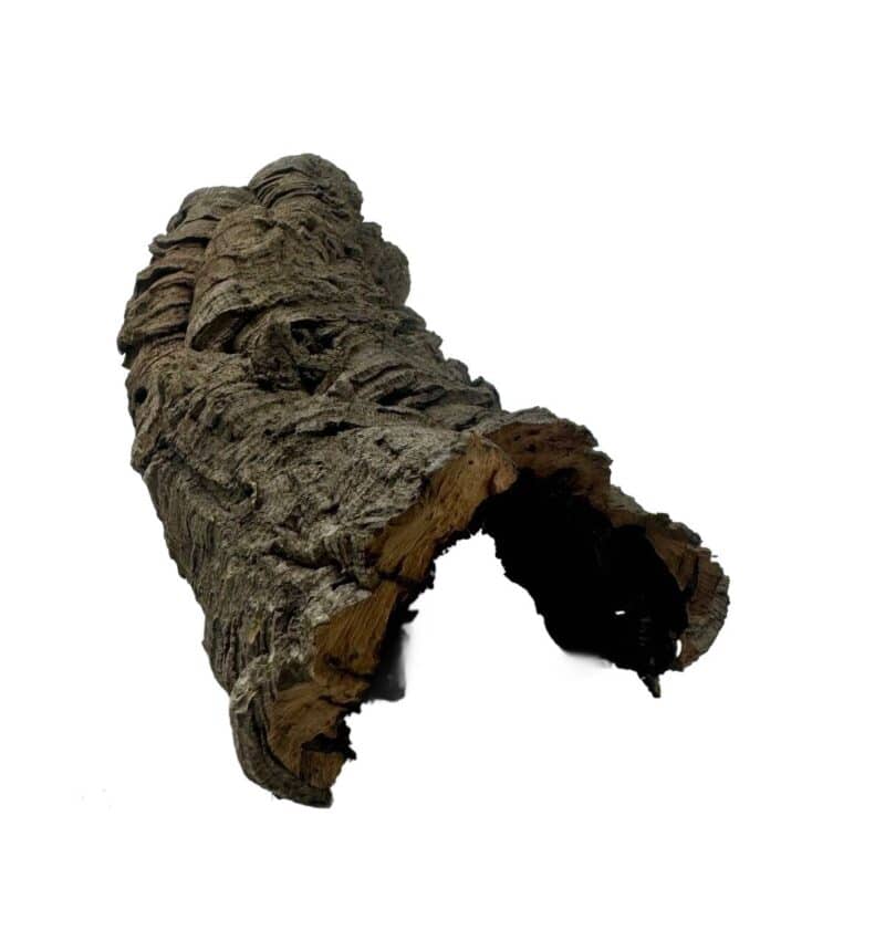 Tuby korkowe do terrarium 20-28cm / 6-8cm