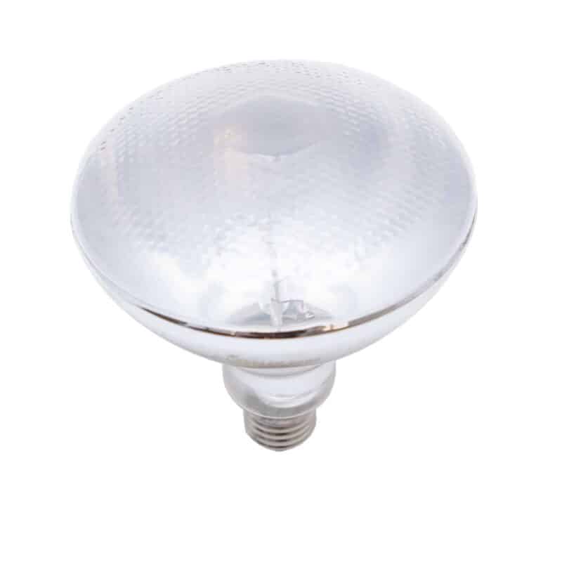 Oprawa Solar Raptor ClampLamp z klipsem + żarówką MVL 80