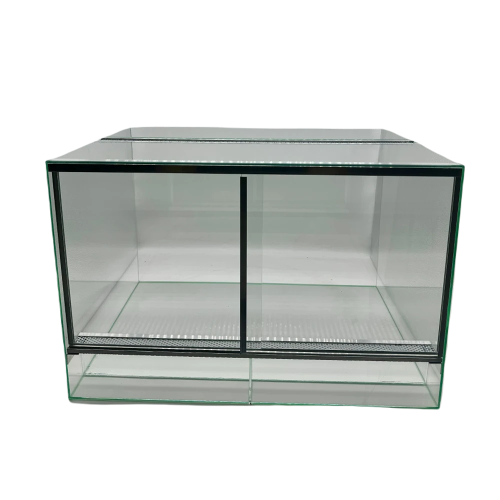 Szklane terrarium 50 × 30 × 30 cm – widok całego zbiornika
