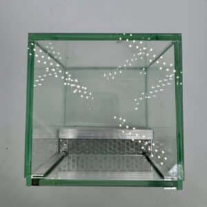 Nano terrarium dla pająka gilotyna z wentylacją 10x10x10