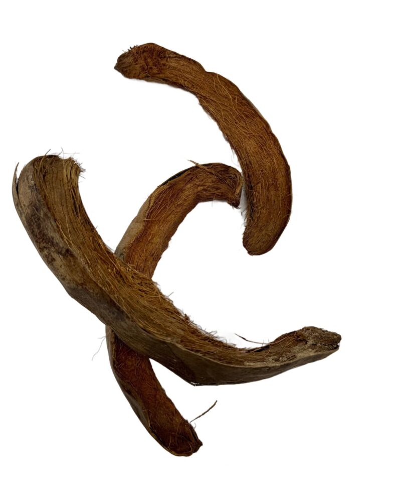 3513bc4fcd7b903f390ae001f1b48ebe.jpg Coco moon 15-20cm