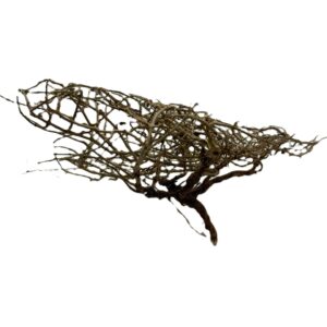 Gałązki Dry tree M 14-17cm