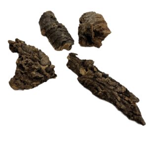 Kora z dębu korkowego do terrarium płat roz. XXS 4-7cm