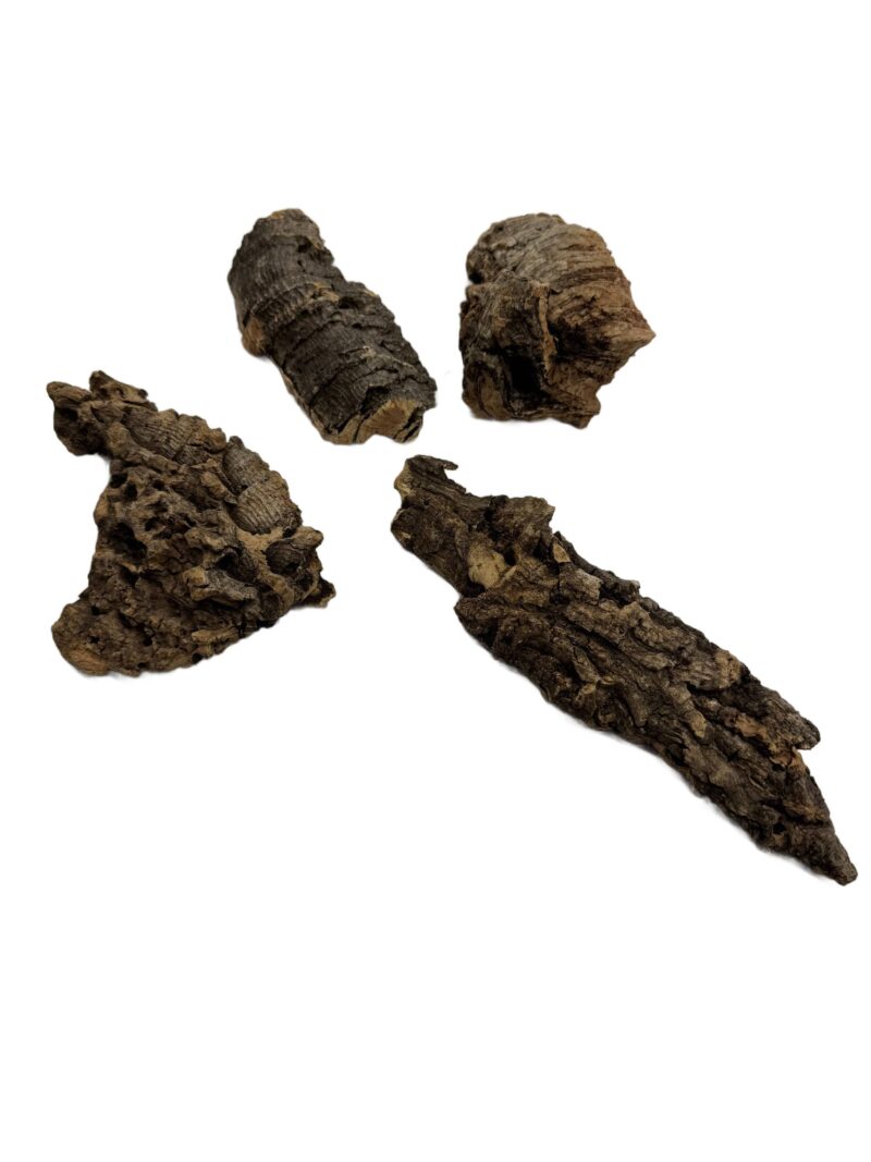 Kora z dębu korkowego do terrarium płat roz. XXS 4-7cm