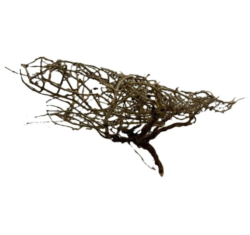 Gałązki Dry tree L 18-22cm