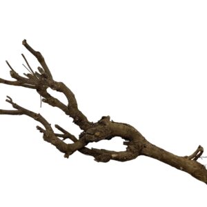 Twig bundle gałąź ozdobna do terrarium 45 - 50cm