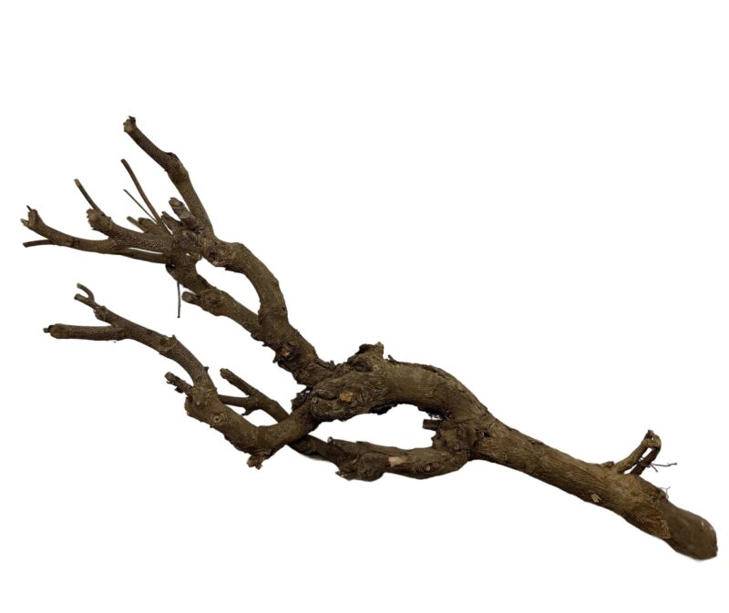 Twig bundle gałąź ozdobna do terrarium 45 - 50cm