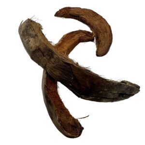 5995bf5255106454aab10072fdaf1da4.jpg Coco moon 15-20cm