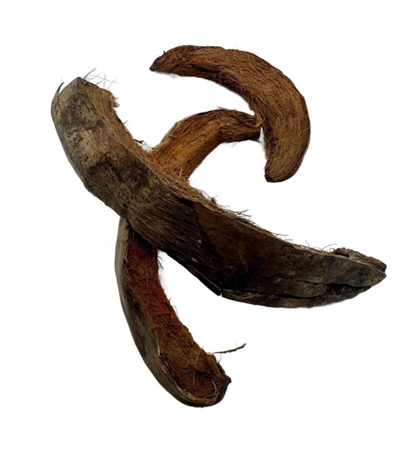 5995bf5255106454aab10072fdaf1da4.jpg Coco moon 15-20cm