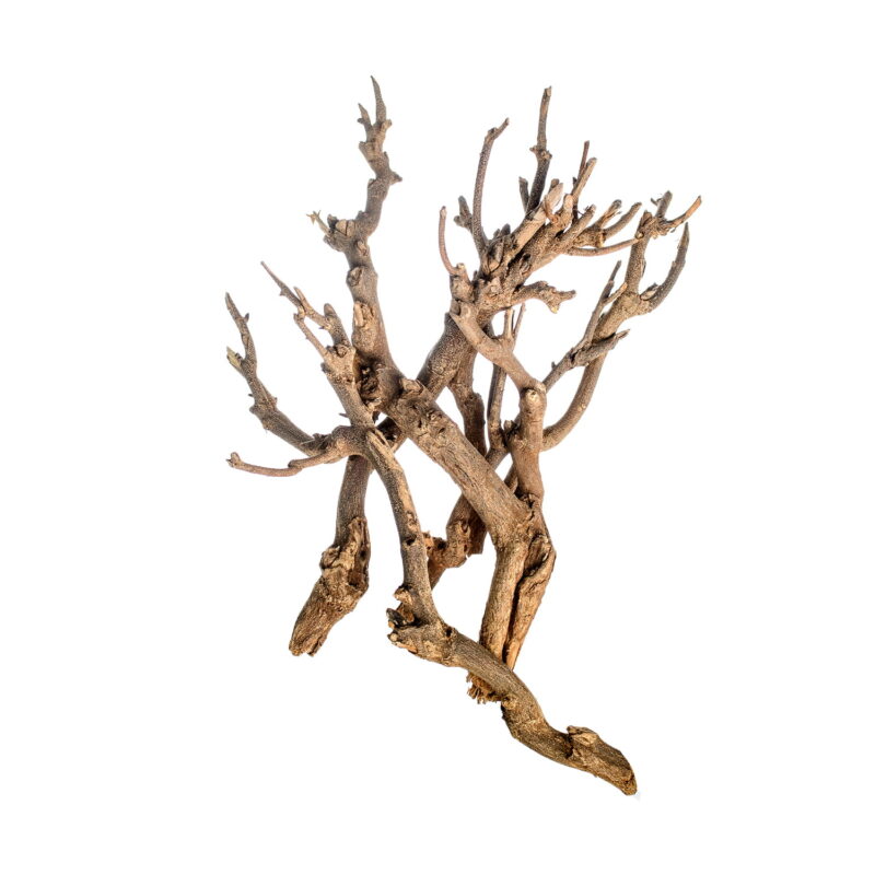 Twig bundle gałąź ozdobna do terrarium 45 - 50cm