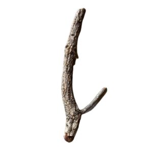 Gałęzie korkowe proste do terrarium 70-80cm