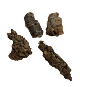 Kora z dębu korkowego do terrarium płat roz. XXS 4-7cm