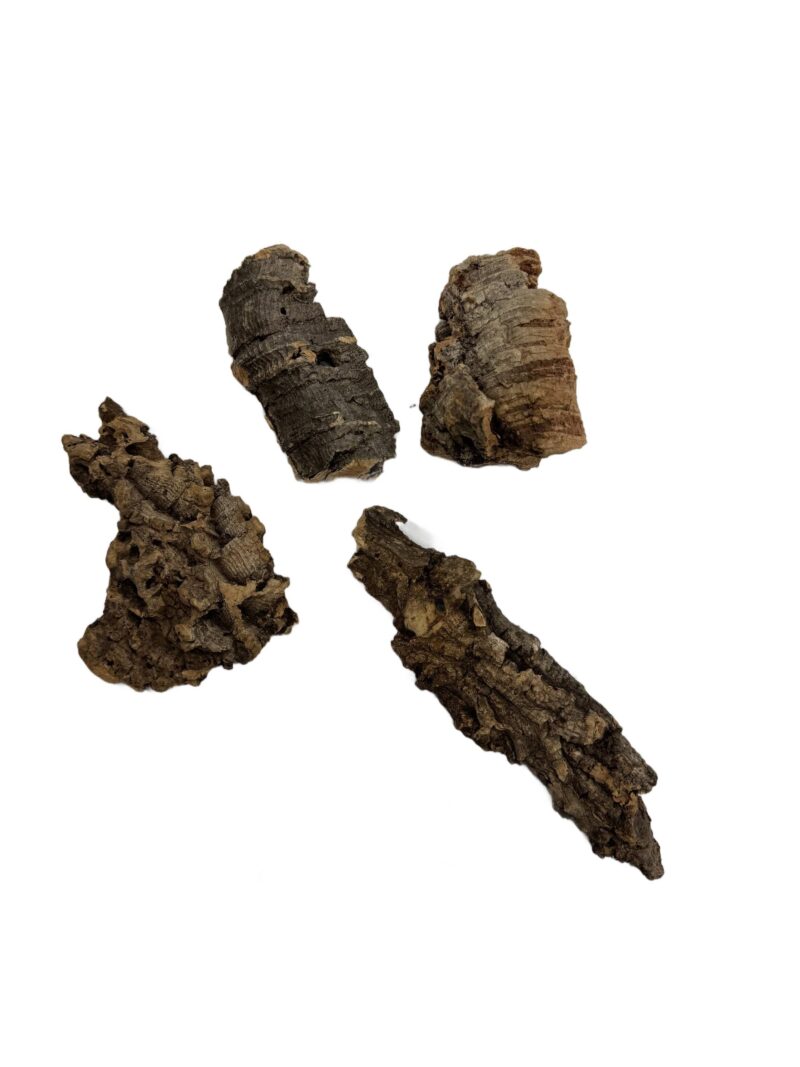 Kora z dębu korkowego do terrarium płat roz. XXS 4-7cm