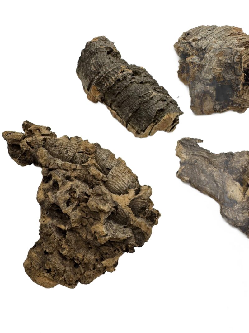 Kora z dębu korkowego do terrarium płat roz. XXS 4-7cm