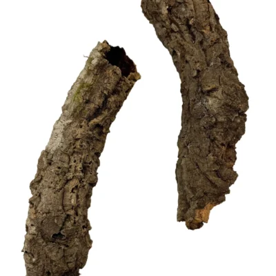 Wąskie tuby korkowe tuba korkowa dębowa 18-22cm / 2-4cm