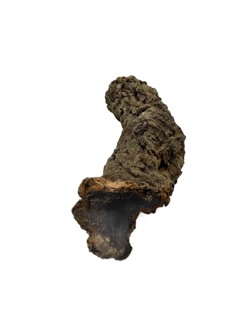 Wąskie tuby korkowe tuba korkowa dębowa 18-22cm / 2-4cm