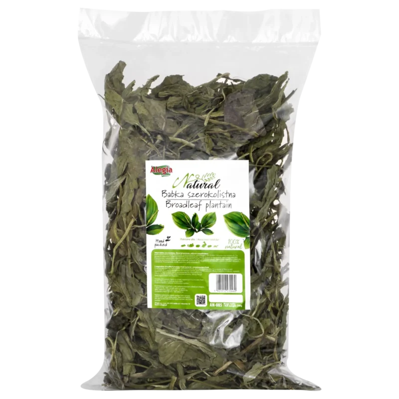 Alegia Natural Babka szerokolistna 300g