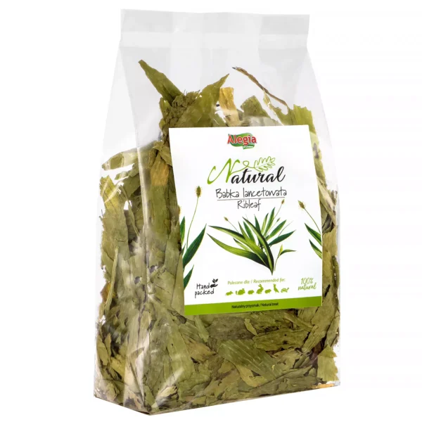Alegia Natural Babka lancetowata 100g