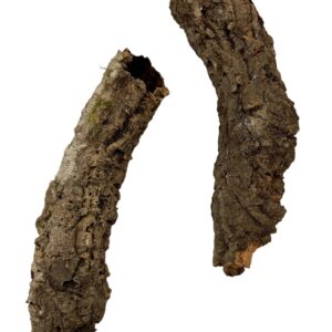 884b3dfaeb18e35cae04ff466b1ac026.jpg Wąskie tuby korkowe tuba korkowa dębowa 25-30cm / 4-6cm