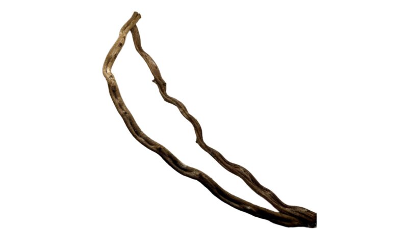 Liana naturalna Sapla Thick 100cm