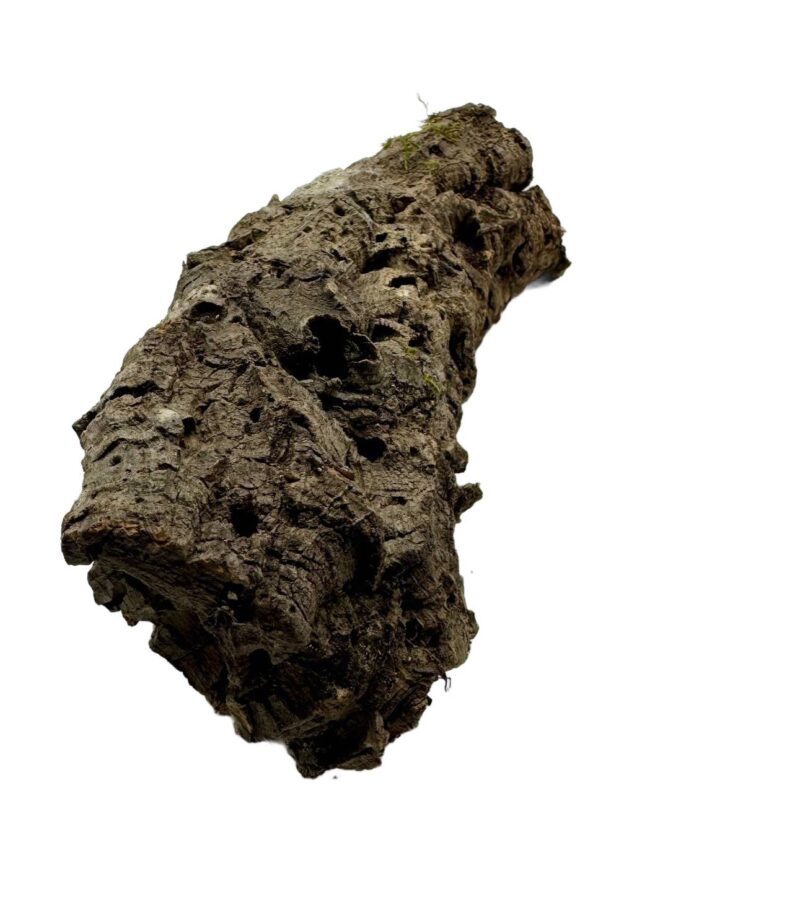 b8b4f3cb4e2a5bf38e0522cfe07e4260.jpg Wąskie tuby korkowe tuba korkowa dębowa 45-50cm / 4-6cm