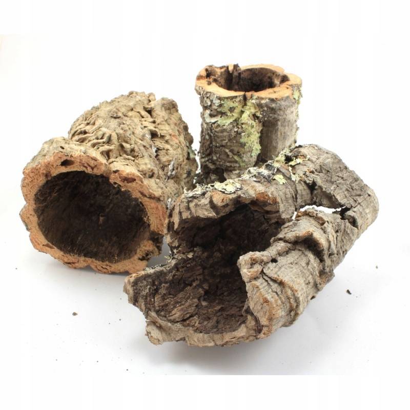 Tuby korkowe do terrarium 7-8cm / 4-5cm