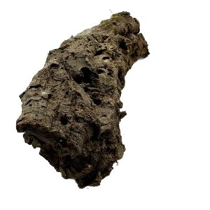 Gałęzie korkowe do terrarium 35-40cm