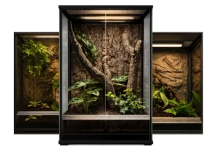 terrarium dla gekona płaczącego