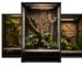 terrarium dla gekona płaczącego